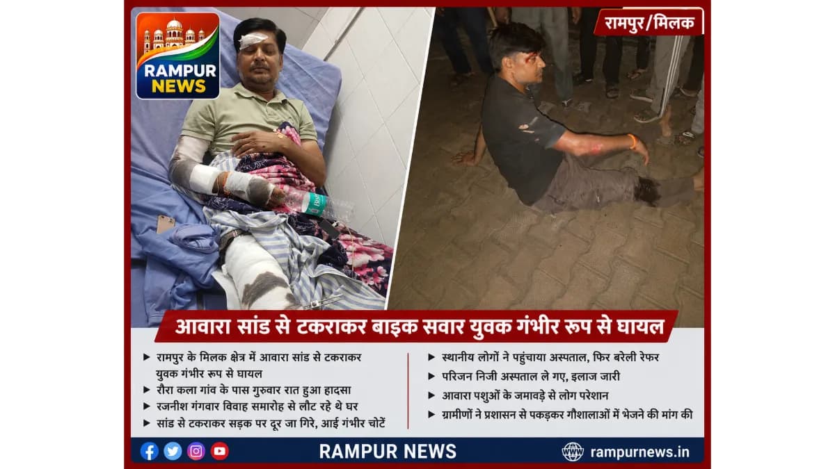 रामपुर: आवारा सांड से टकराकर बाइक सवार गंभीर घायल, बरेली रेफर