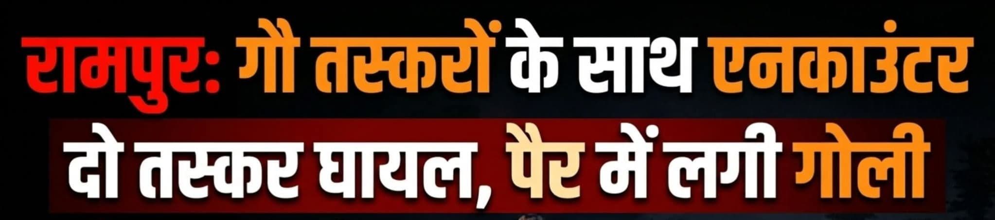 रामपुर में पुलिस–गौ तस्करों की मुठभेड़, दो आरोपी घायल