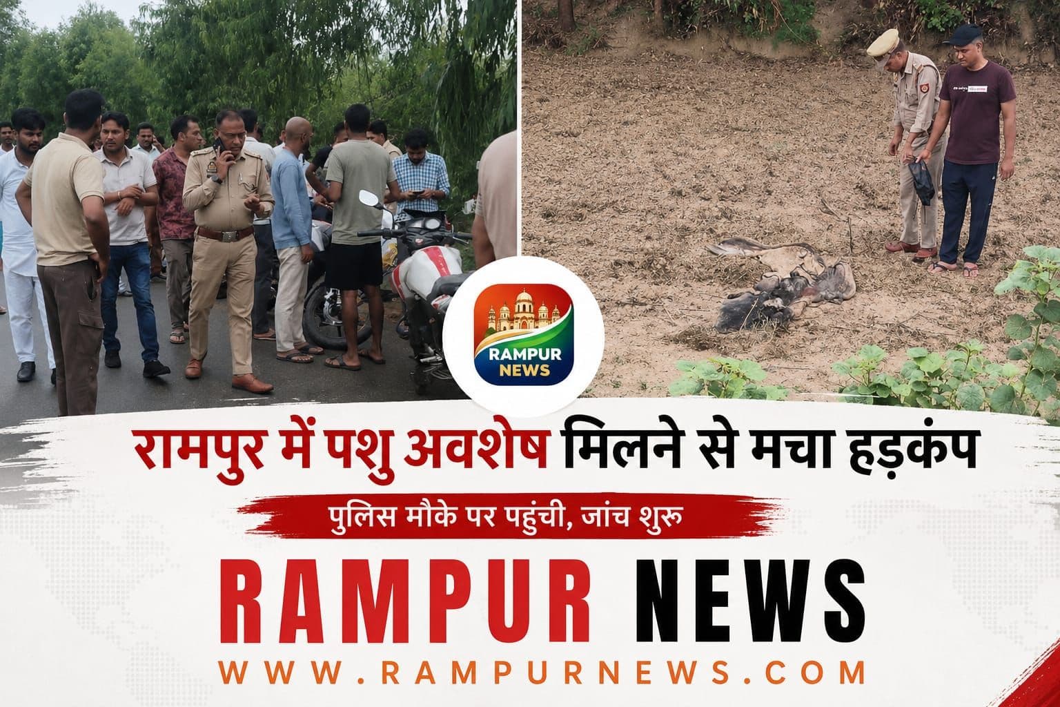 गौकशी की घटना पर सख्त कार्रवाई, सेफनी थाना प्रभारी लाइन हाजिर