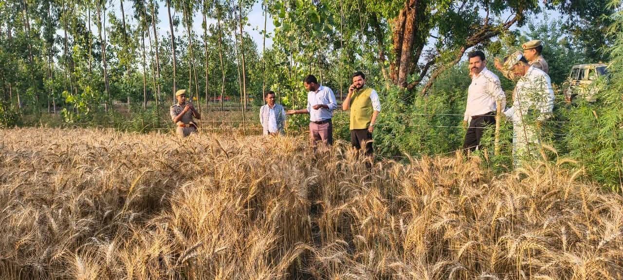 बे-मौसम बारिश से फसलों को नुकसान: प्रशासन ने किया स्थलीय निरीक्षण, किसानों को मदद का भरोसा